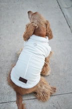 Abrigo para perros borreguito beige