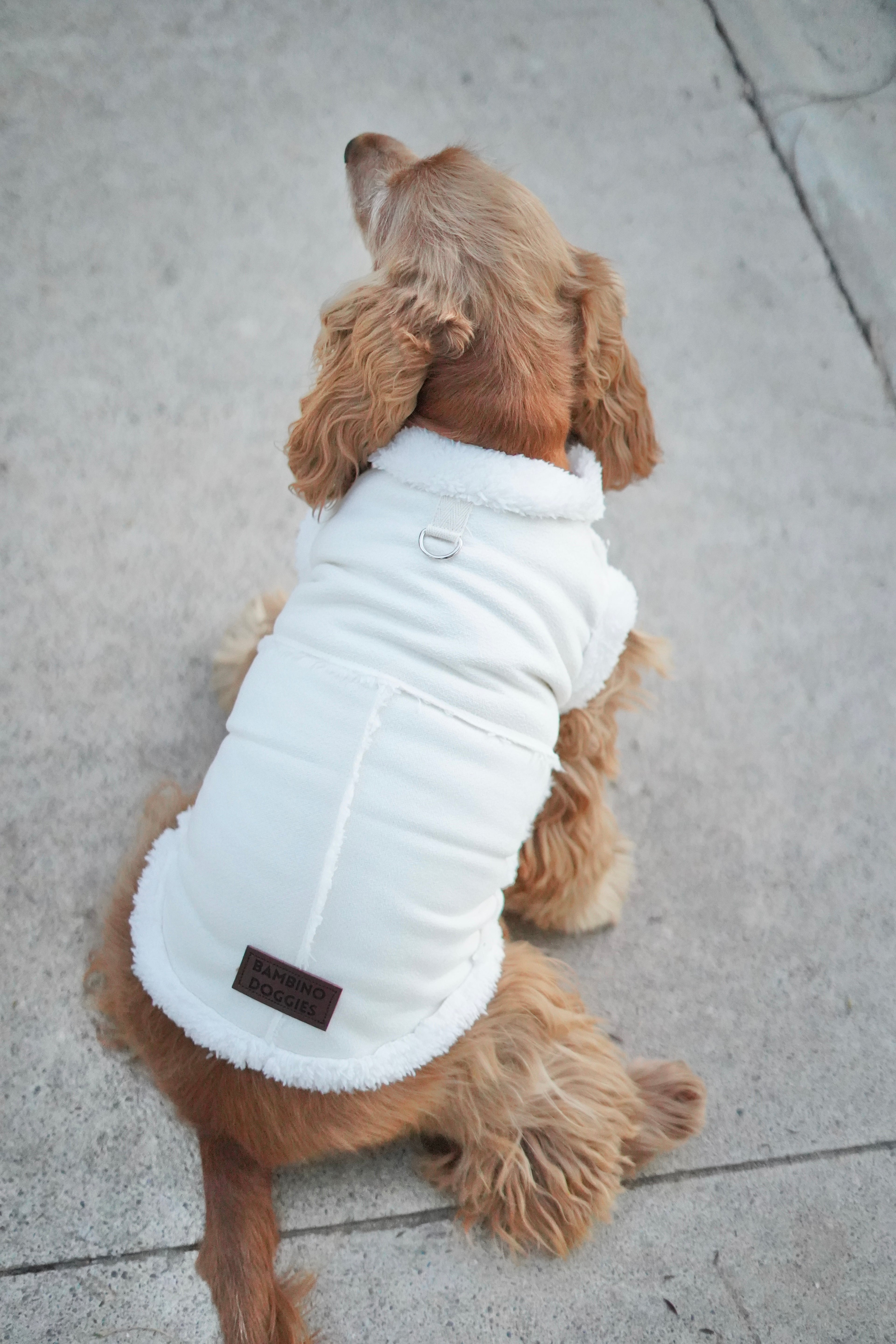 Abrigo para perros borreguito beige