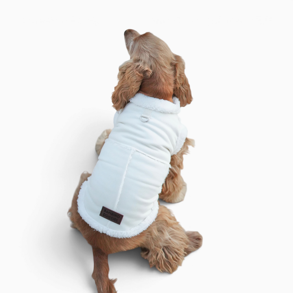 Perro cocker spaniel con abrigo de borreguito beige Bambino Doggies con hebilla para correa en la espalda