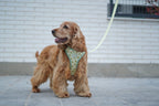 Arnés reversible para perros Vichy Avocado