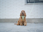 Arnés reversible para perros Vichy Avocado