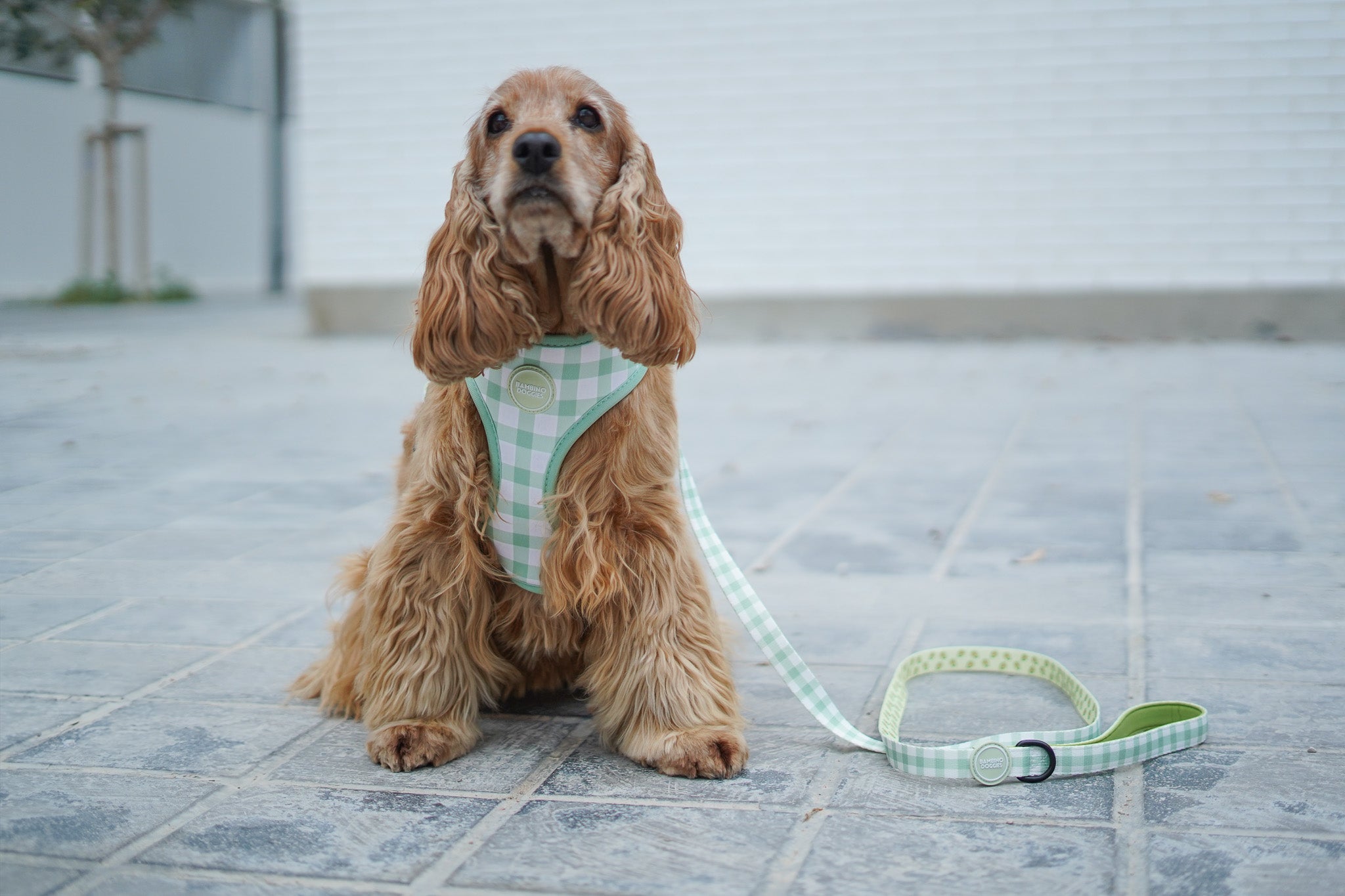 Arnés reversible para perros Vichy Avocado