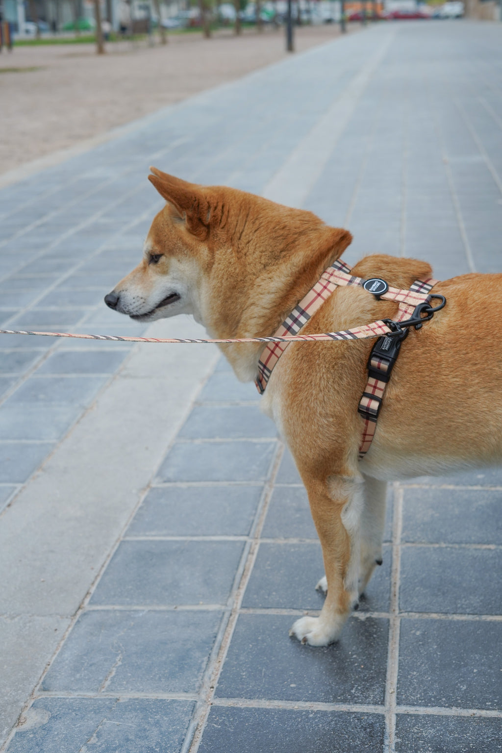 Arnés para perros Londres