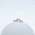 Pendientes Teckel Plata de Ley 925