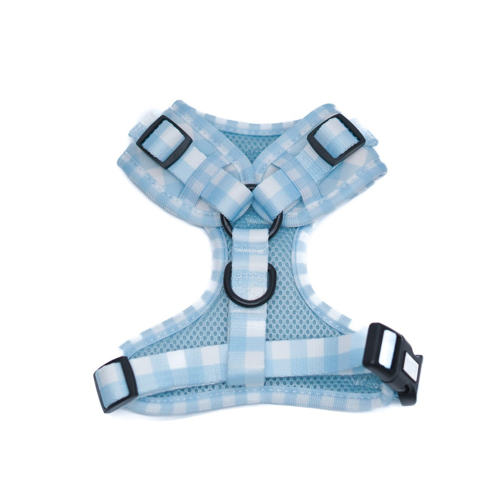 Arnés ajustable para perros Vichy azul