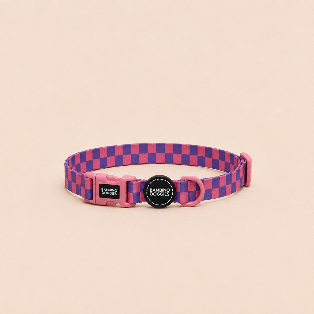 Collar para perros Purple