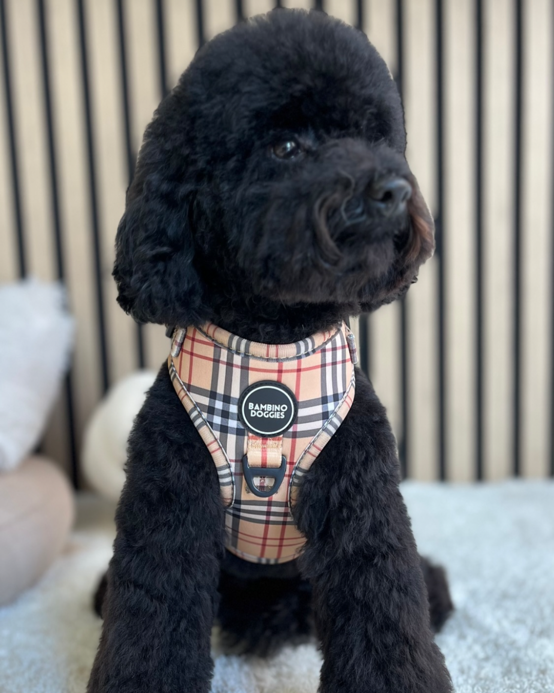 Arnés ajustable para perros Londres