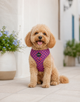 Arnés ajustable para perros Purple