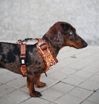Arnés ajustable para perros Sabana
