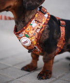 Arnés ajustable para perros Sabana