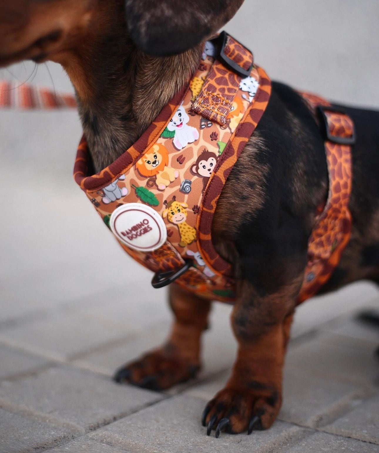 Arnés ajustable para perros Sabana