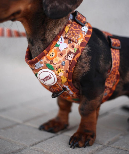 Arnés ajustable para perros Sabana