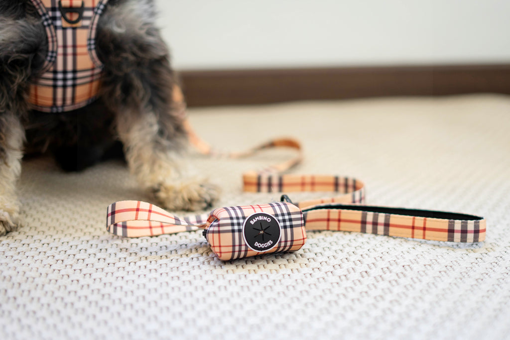 Arnés ajustable para perros Londres