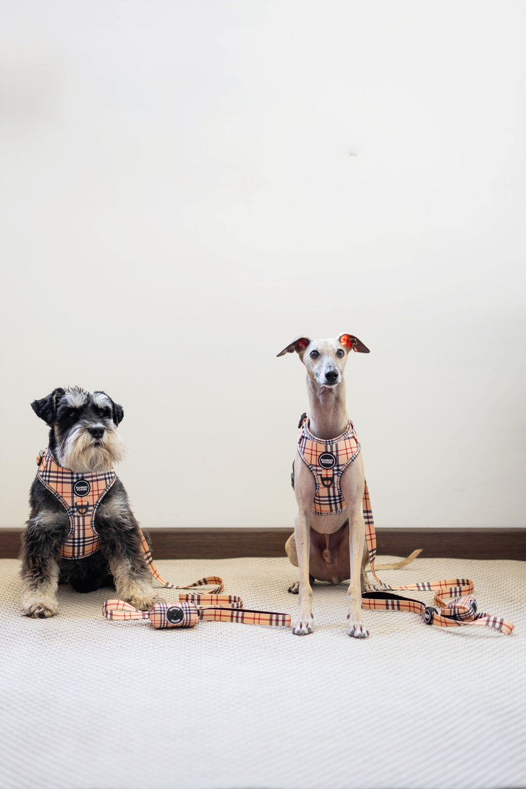 Arnés ajustable para perros Londres