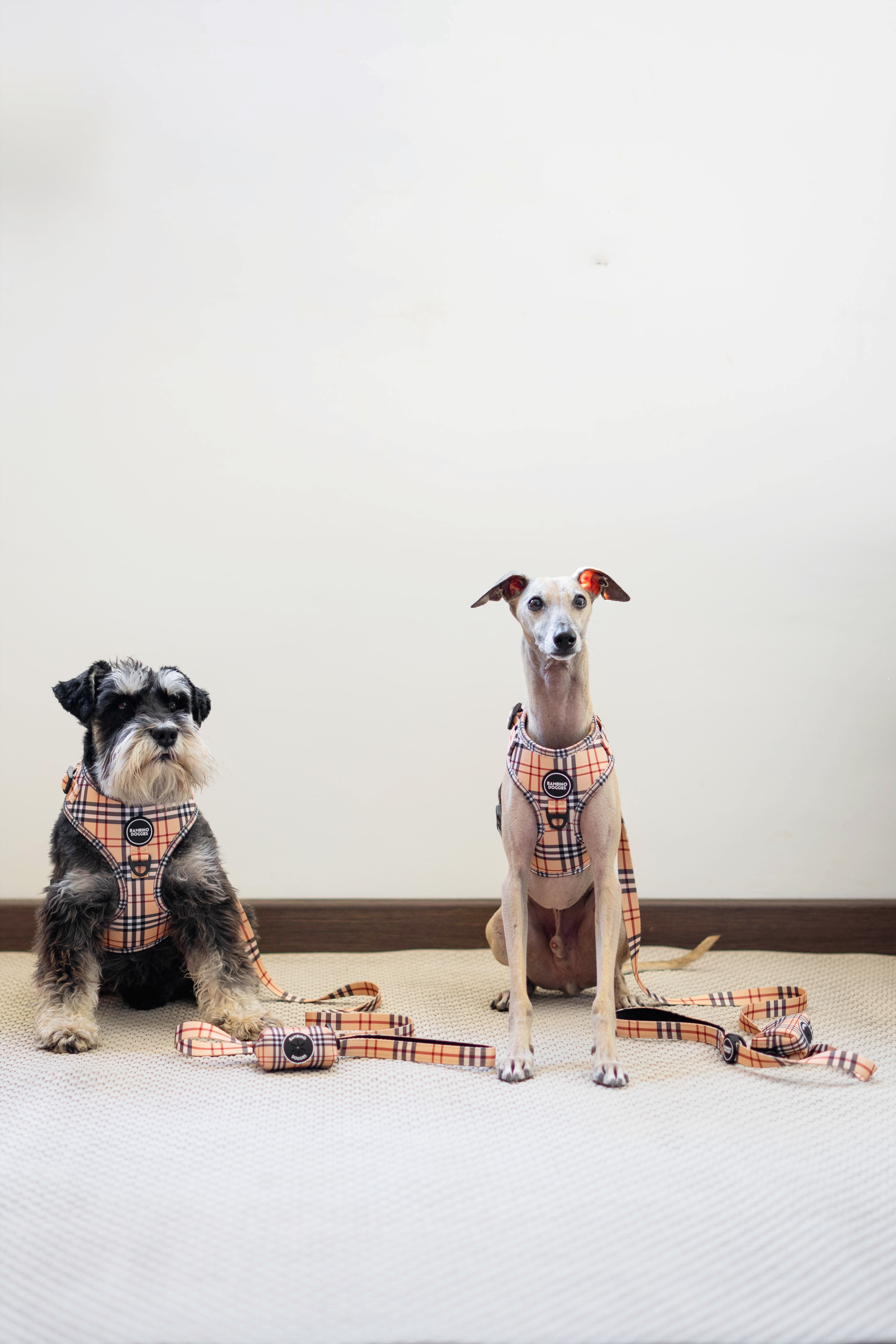 Arnés ajustable para perros Londres