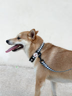 Collar para perros Vichy negro