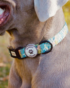 Collar para perros Nature