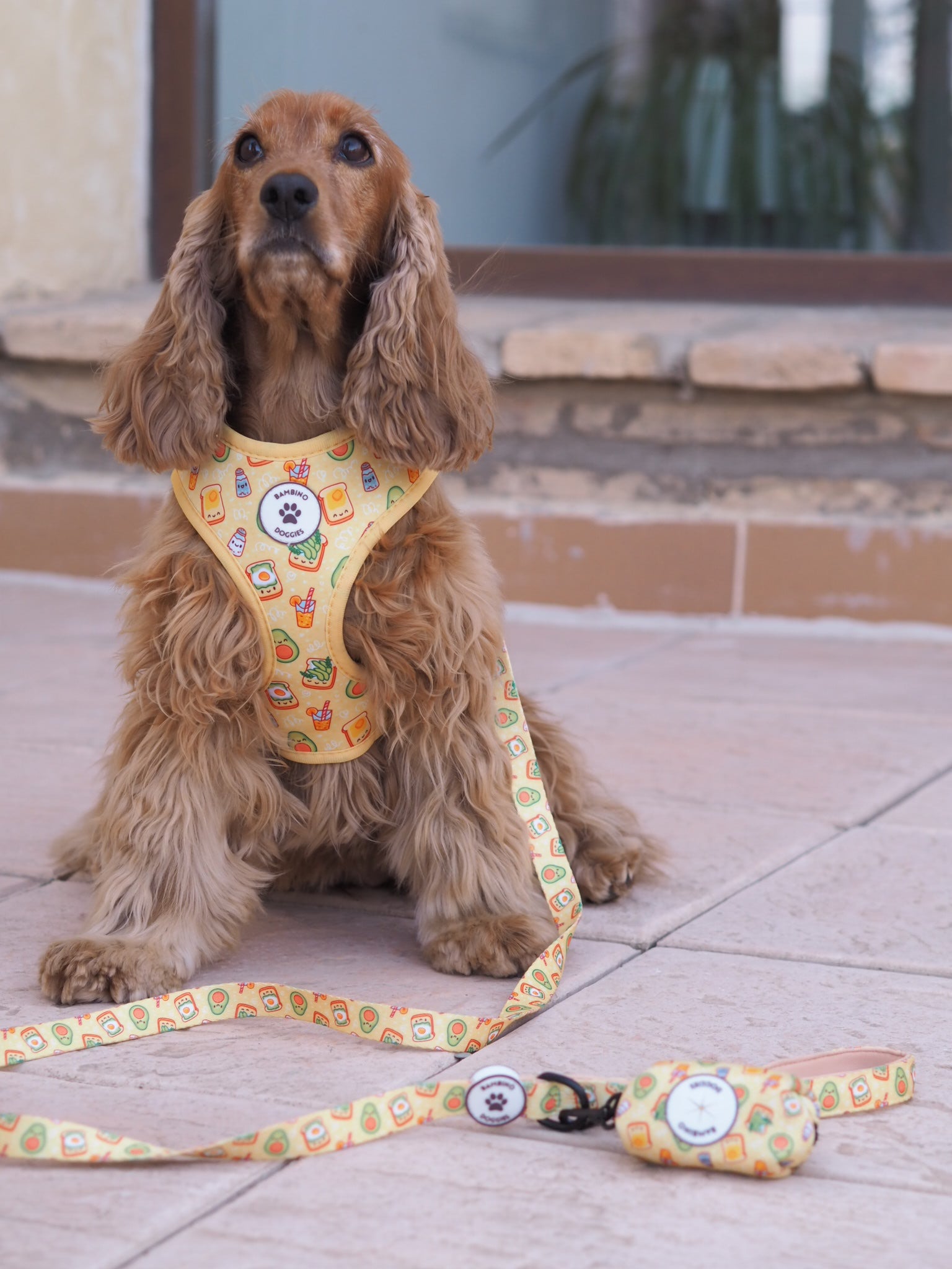 Arnés ajustable para perros Breakfast