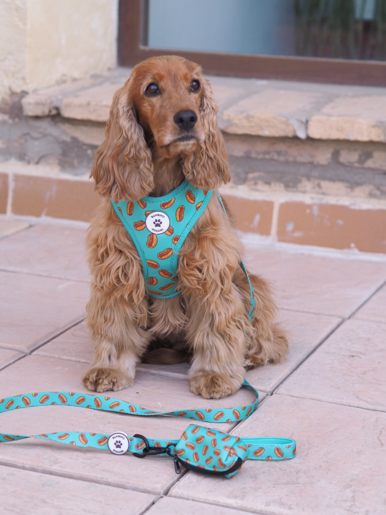 Arnés ajustable para perros Hot Dog