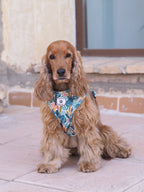 Arnés ajustable para perros Nature