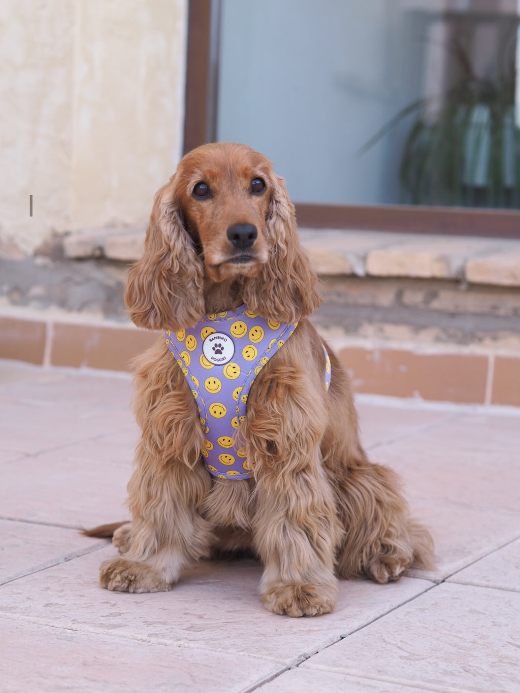 Arnés ajustable para perros Smile
