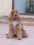 Arnés ajustable para perros Smile