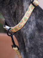 Collar para perros Breakfast