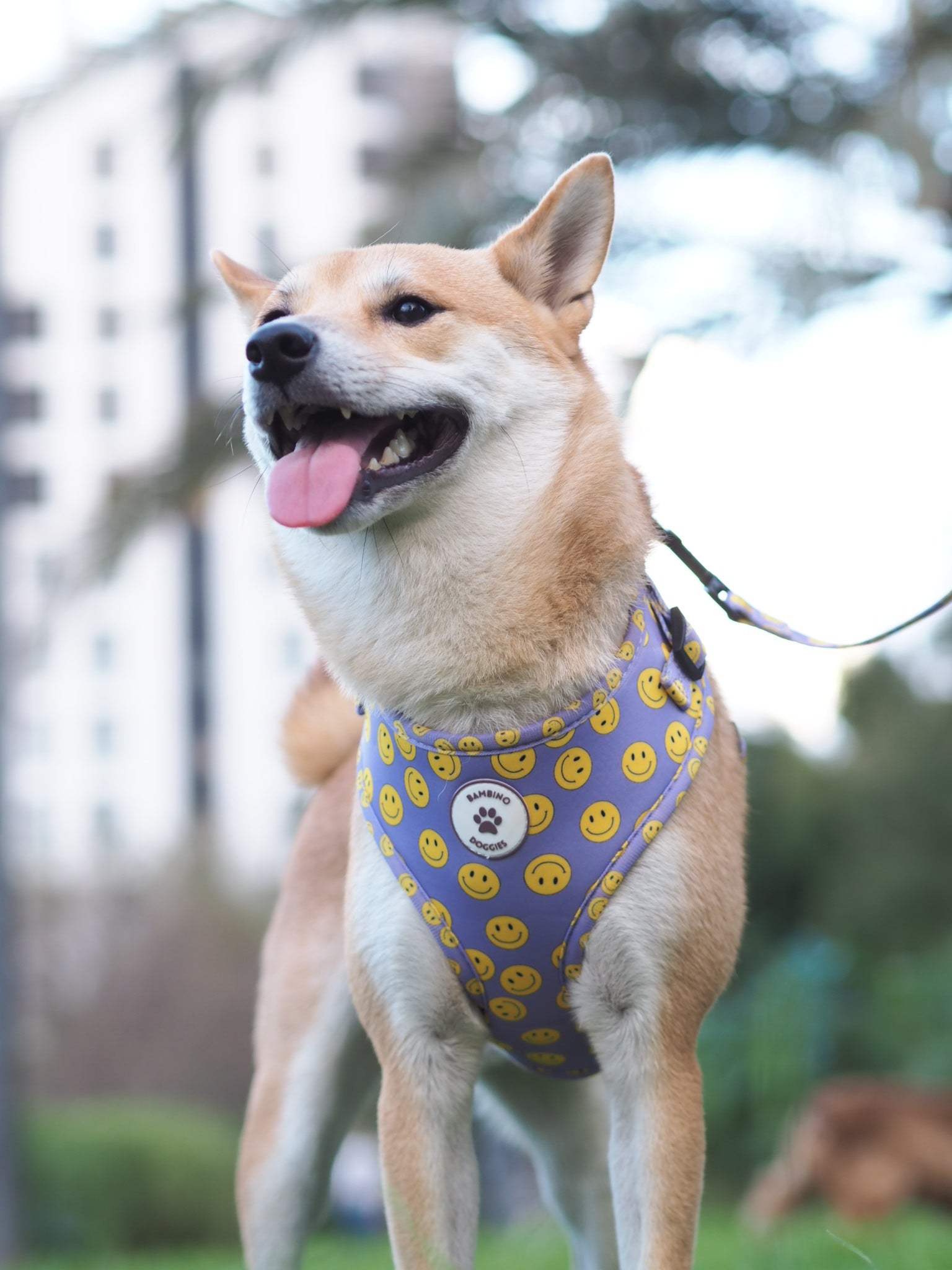 Arnés ajustable para perros Smile