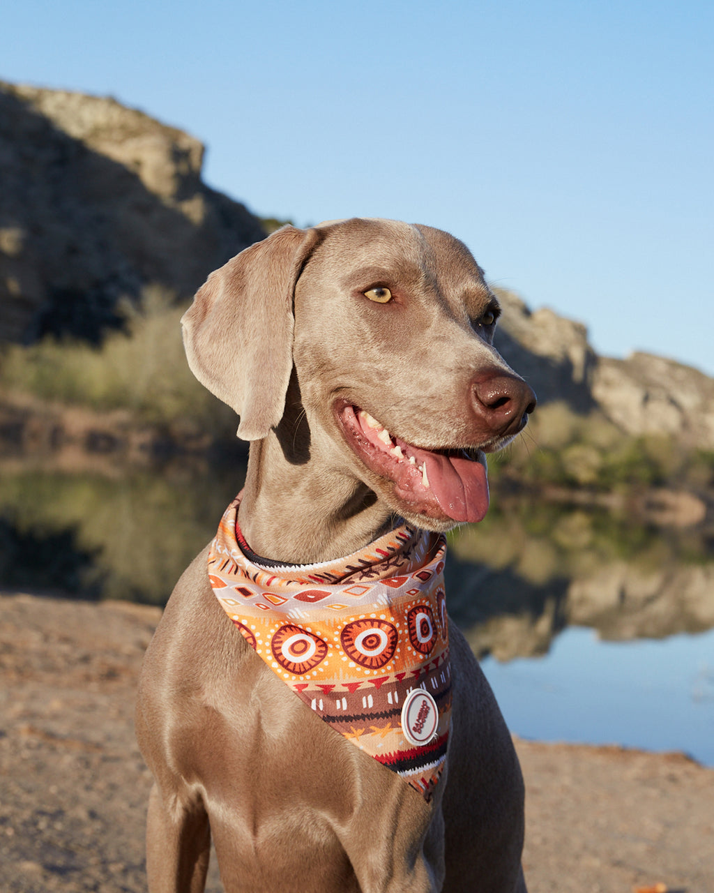 Bandana para perros Étnica