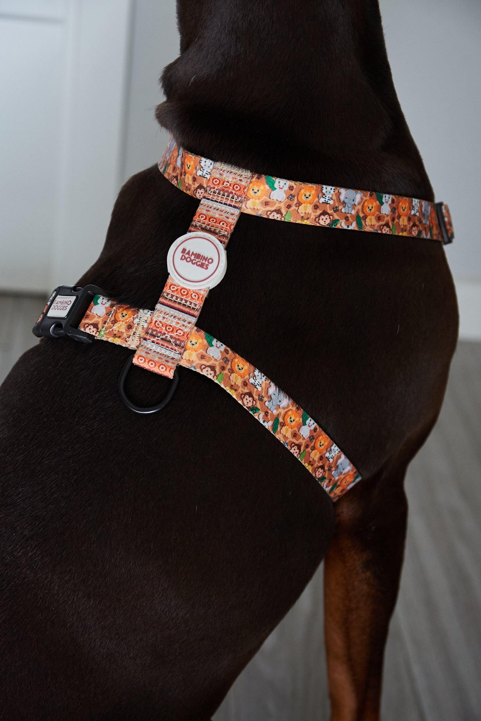 Arnés para perros Sabana