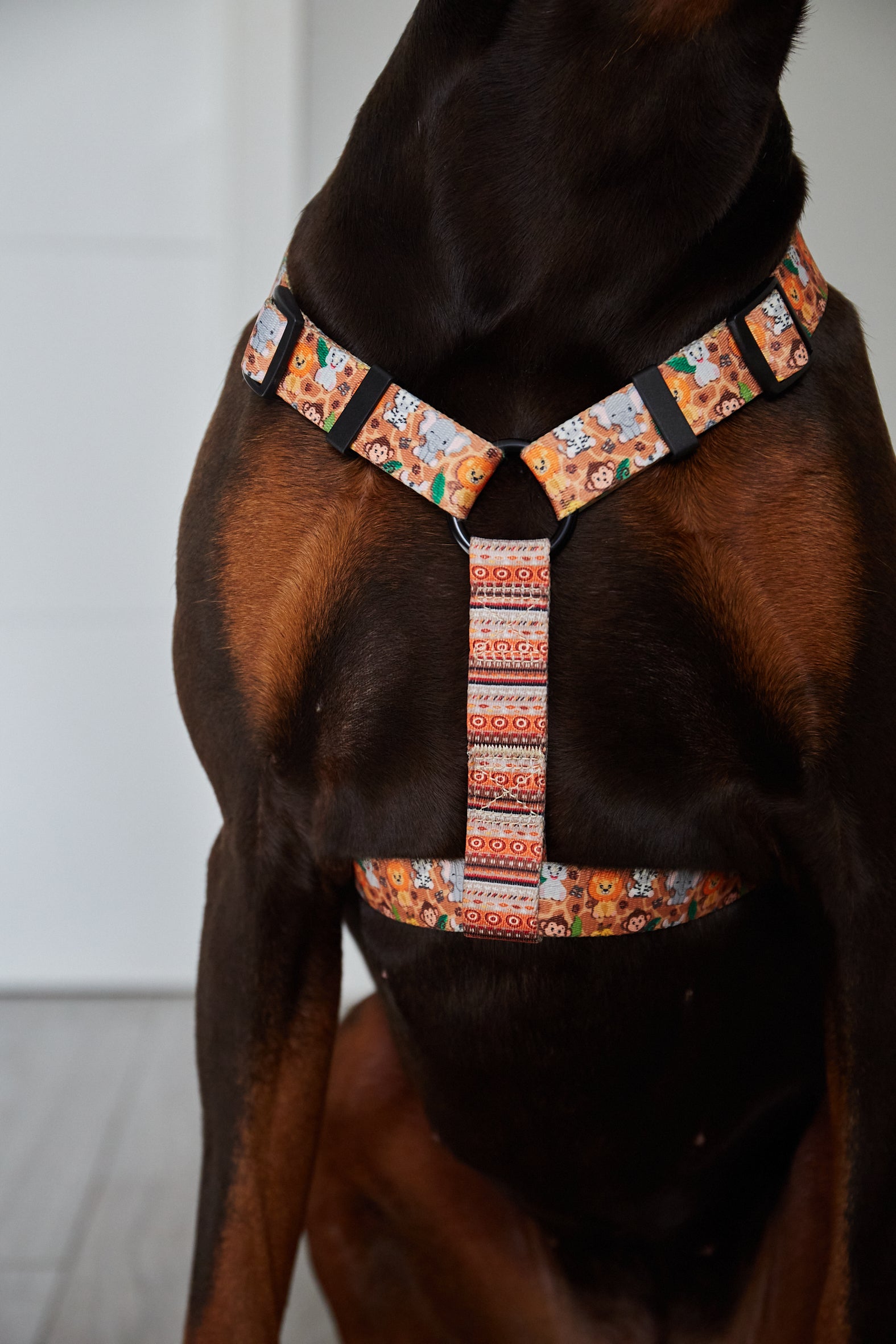 Arnés para perros Sabana